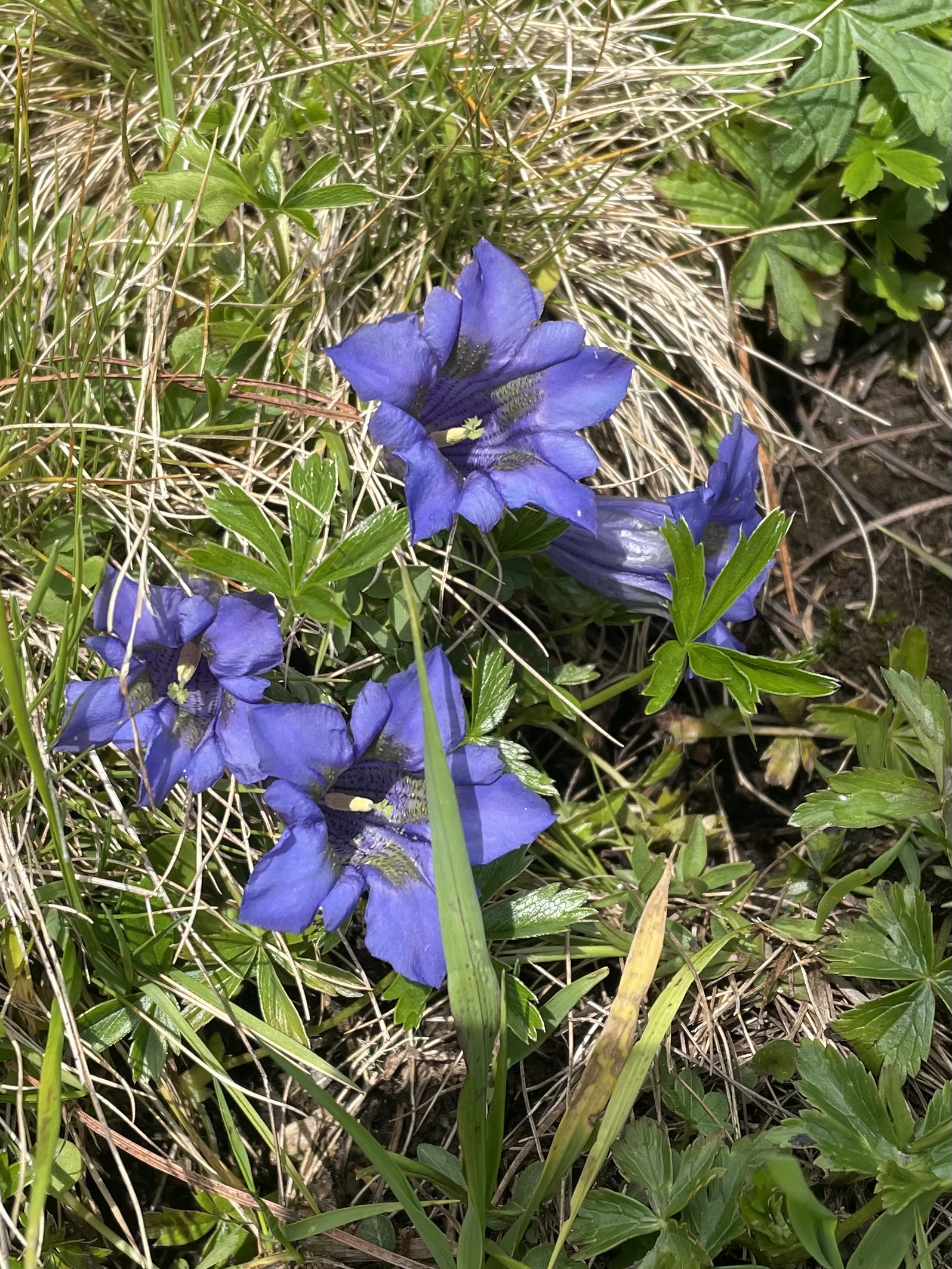 Frauenthemen sanft lösen: Wie Hypnose neue Freiheit und Selbstbestimmung ermöglicht